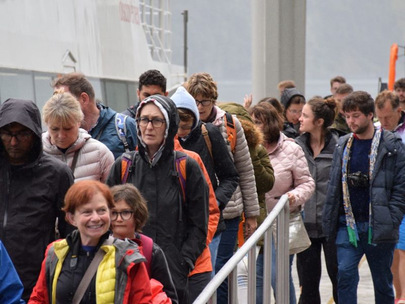 Domestic travel spending intentions remain weak – survey