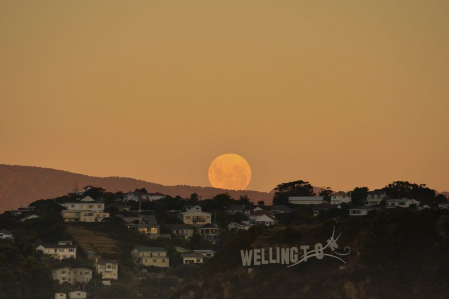 Wellington’s Diwali Festival goes online