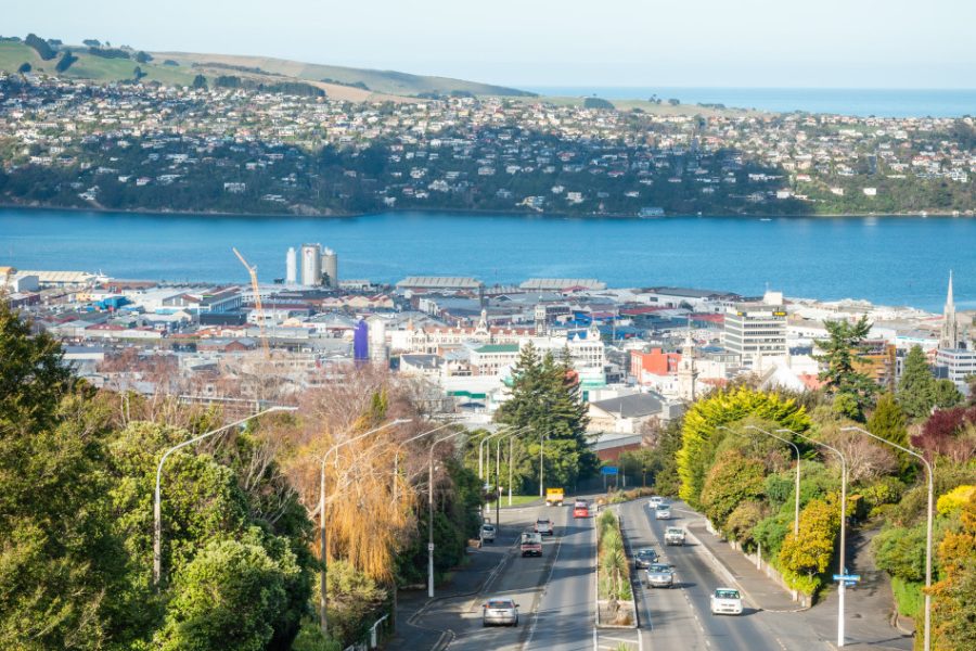 Safe travel call with 30k expected for All Blacks test
