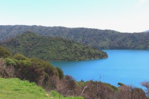 Mountain bike event relocated due to fire risk