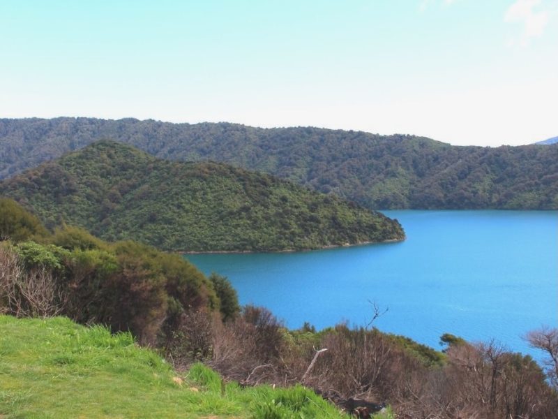Mountain bike event relocated due to fire risk