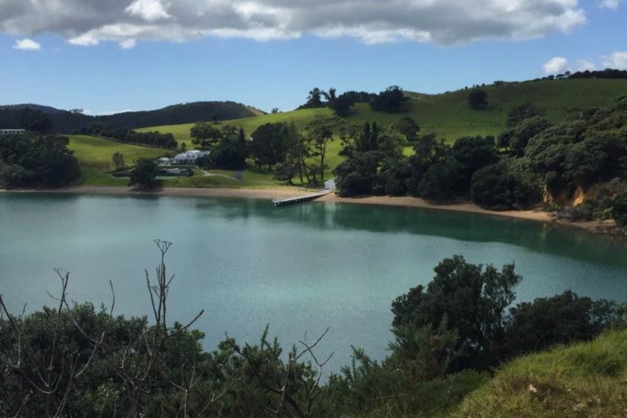 Julian Robertson’s plans for new ‘super luxury’ Waiheke lodge