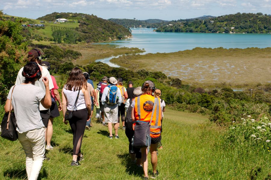 Waiheke Walking Festival returns