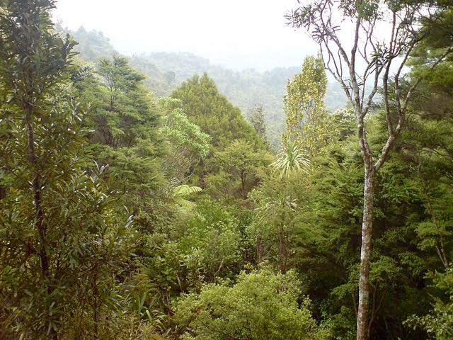 Auckland Council seeks student rangers