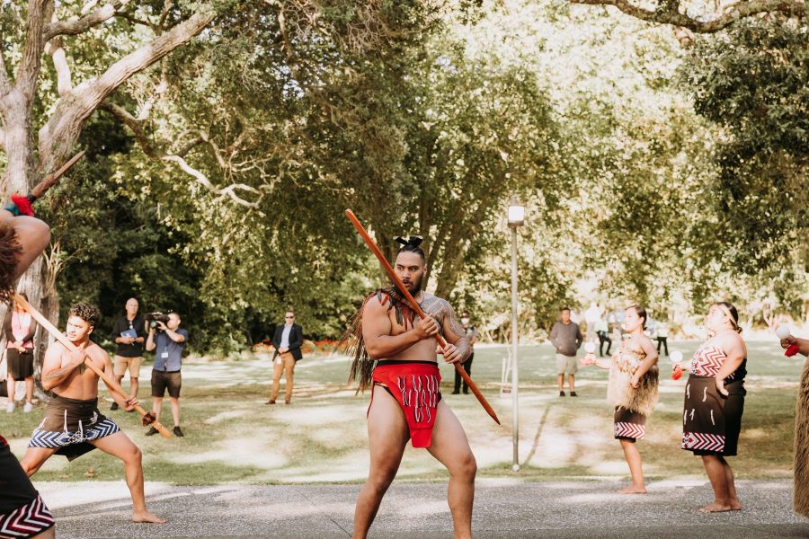 Waitangi Day goes virtual