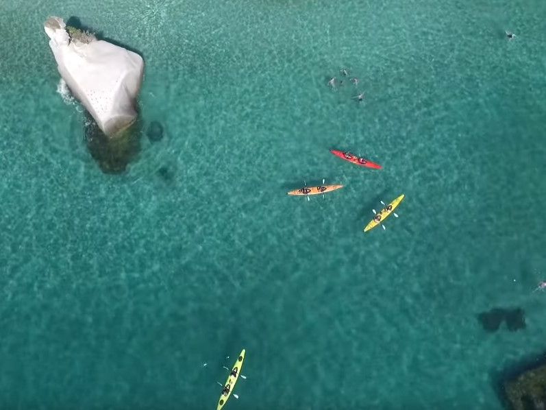 Campaign launched to attract Coromandel visitors