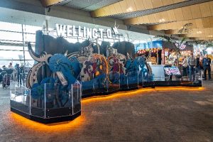 New art display at Wellington Airport