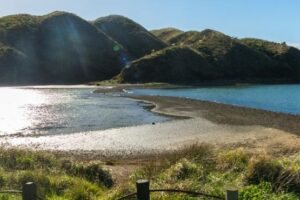 Webinar explores draft tourism environment plan