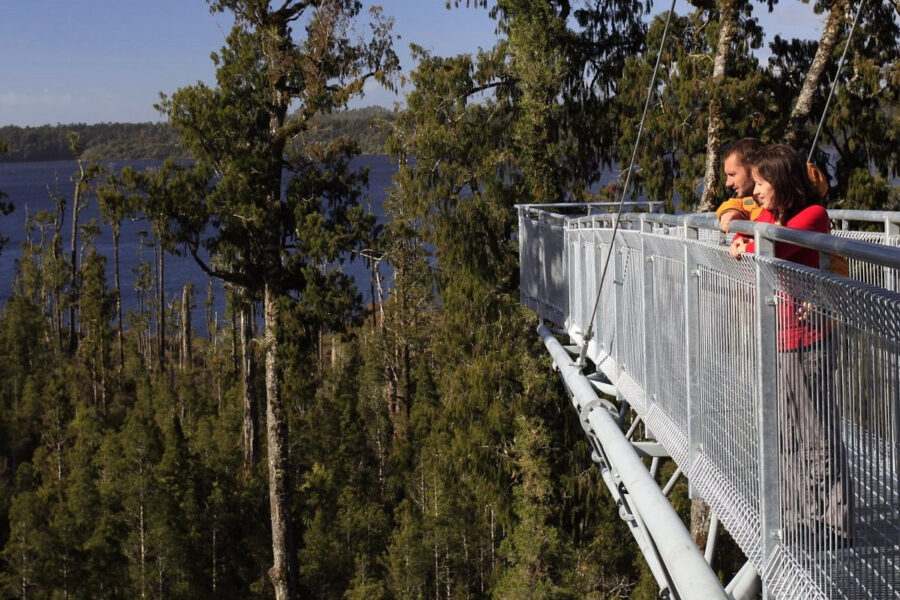 West Coast’s Treetop for sale with $5.8m of assets