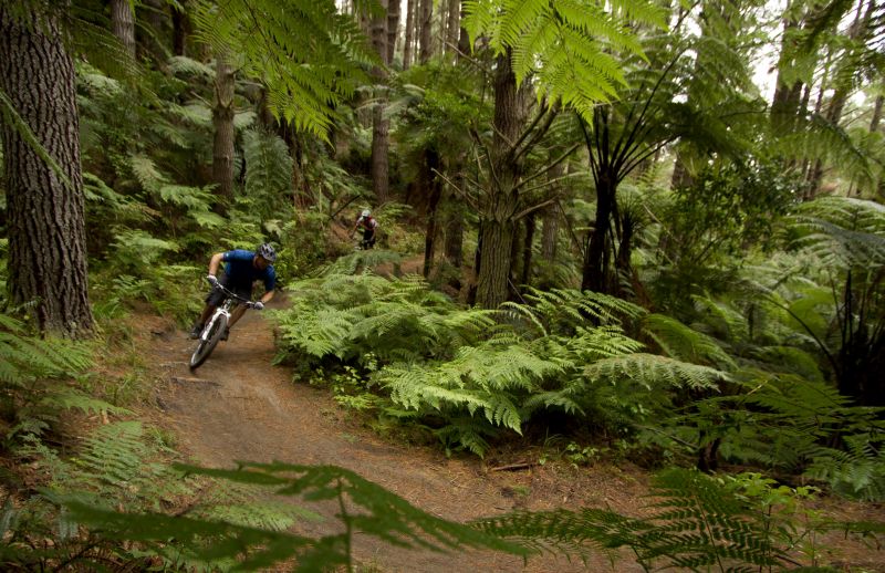 RotoruaNZ launches ‘Best Summer Ever’ campaign