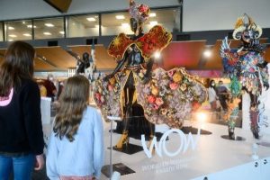 WOW generates $30m for Wellington