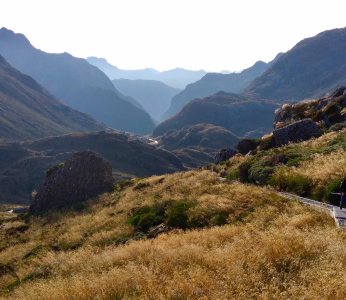 Routeburn bookings busiest so far of Great Walks